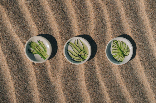 Cactus Accent Plate - Anne Sidora Unique Poetic gift boutique in Los Cabos