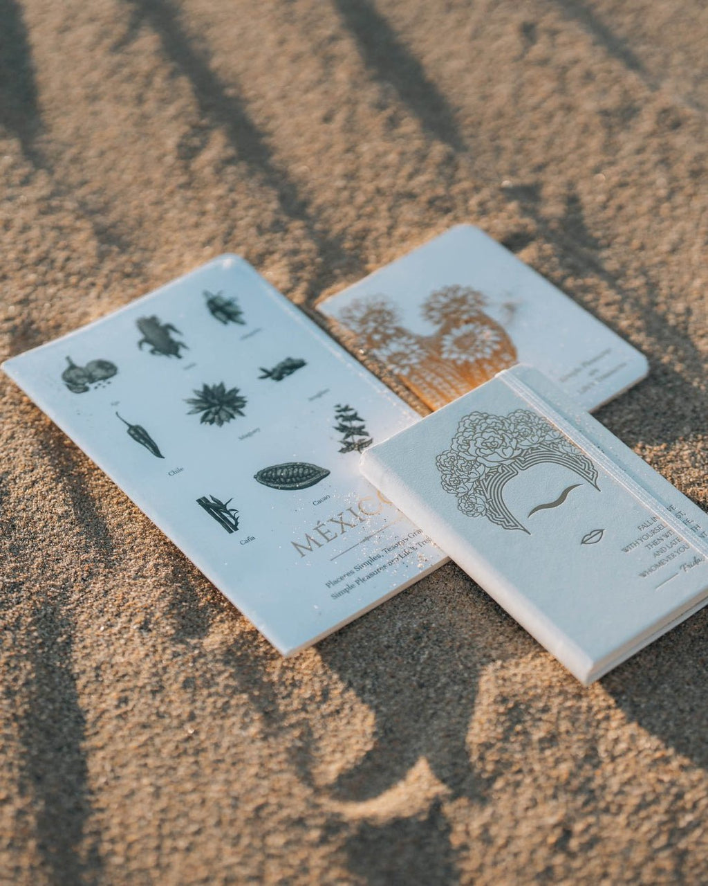 Cactus Blossom Notebook - Anne Sidora Unique Poetic gift boutique in Los Cabos