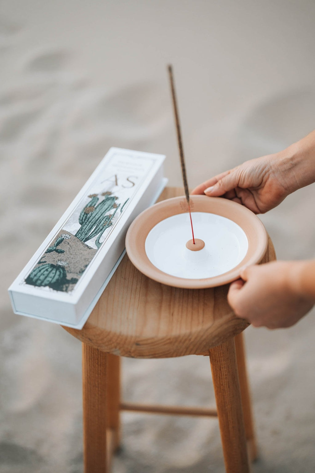 Cactus Incense Holder - Anne Sidora Unique Poetic gift boutique in Los Cabos