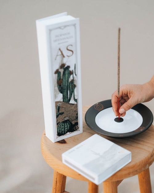 Cactus Incense Holder - Anne Sidora Unique Poetic gift boutique in Los Cabos