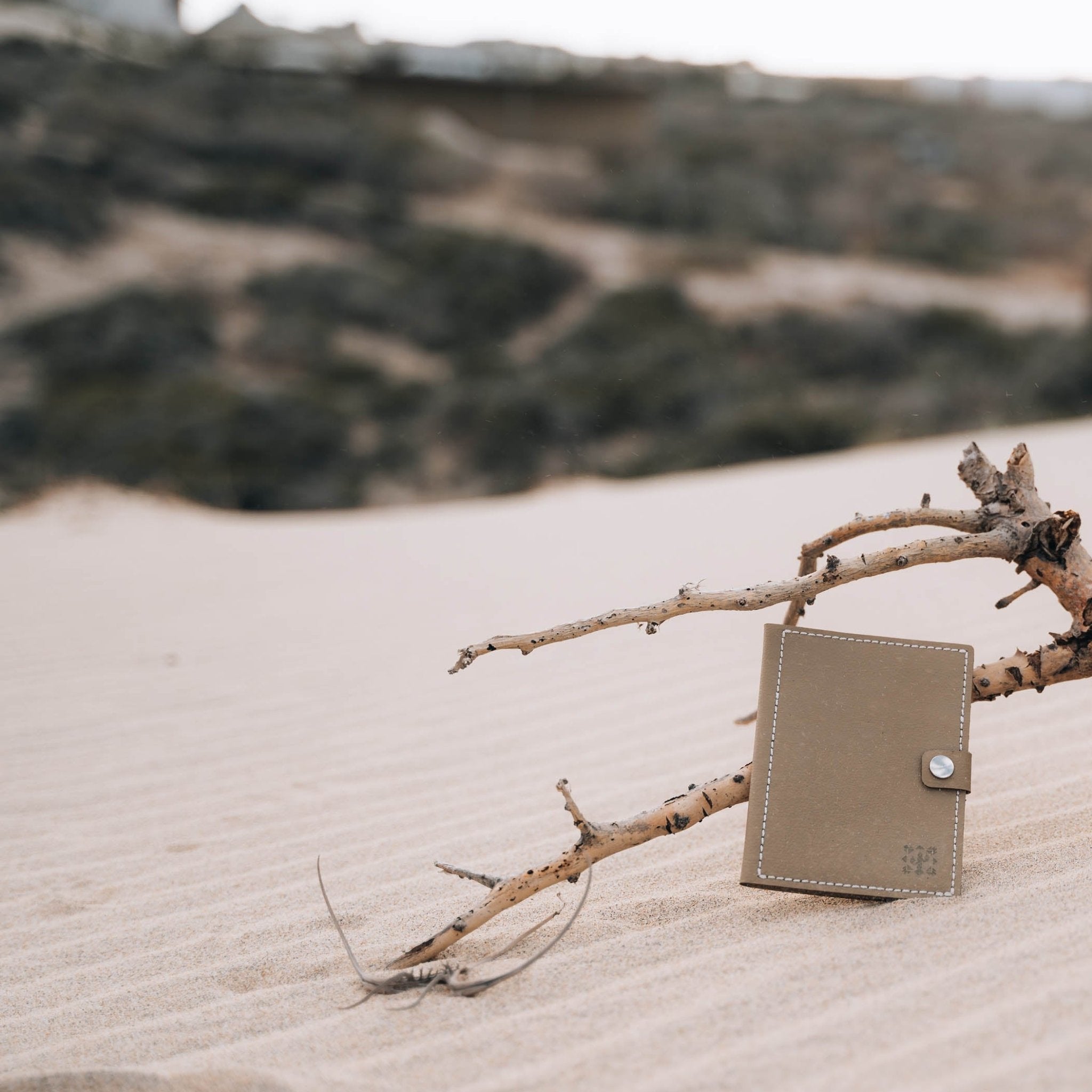 Cactus Leather Passport Holder - Anne Sidora Unique Poetic gift boutique in Los Cabos