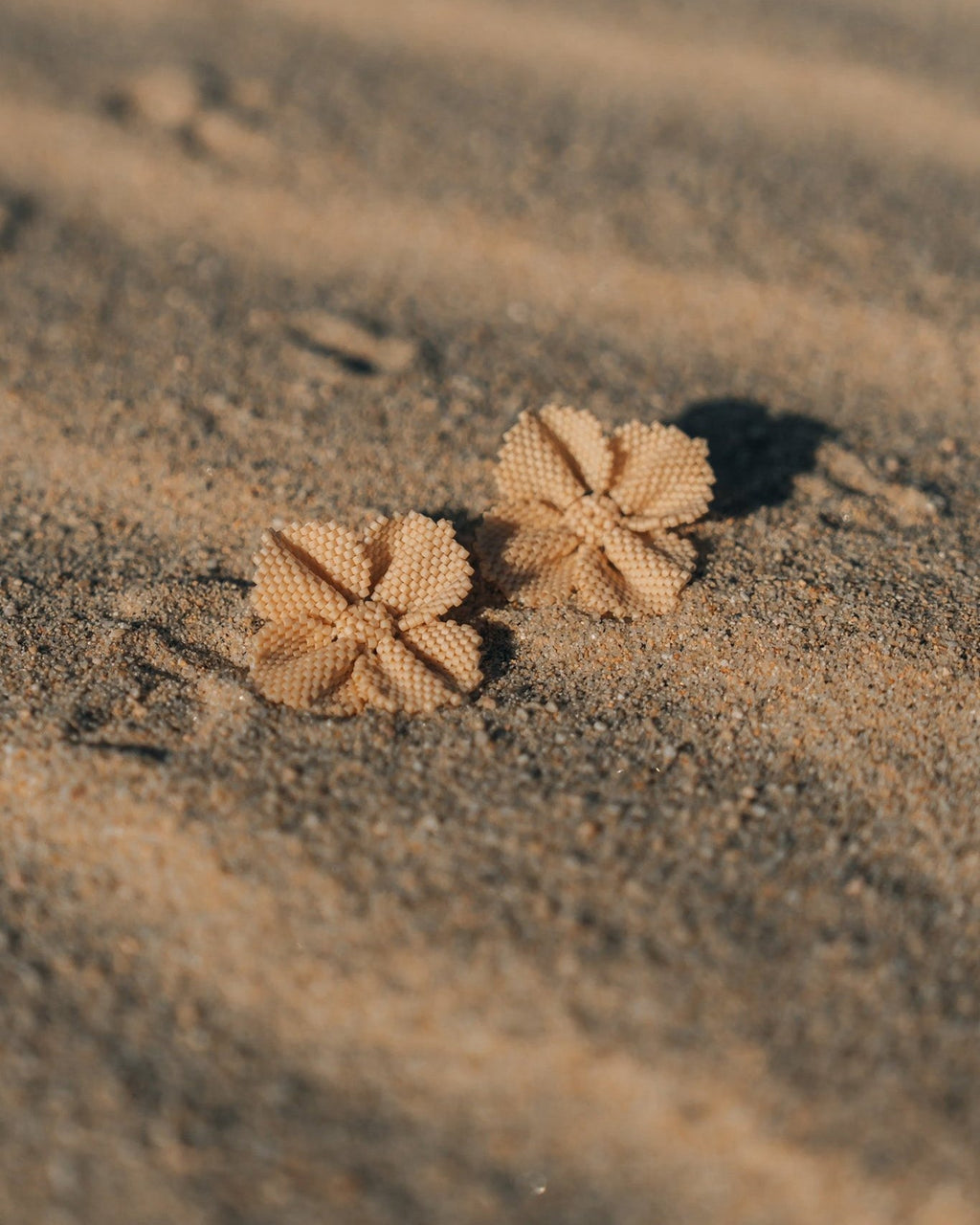 Damiana Blossom Earrings - Anne Sidora Unique Poetic gift boutique in Los Cabos