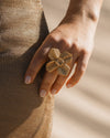 Damiana Golden Ring - Anne Sidora Unique Poetic gift boutique in Los Cabos