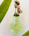 Florerito - Anne Sidora Unique Poetic gift boutique in Los Cabos