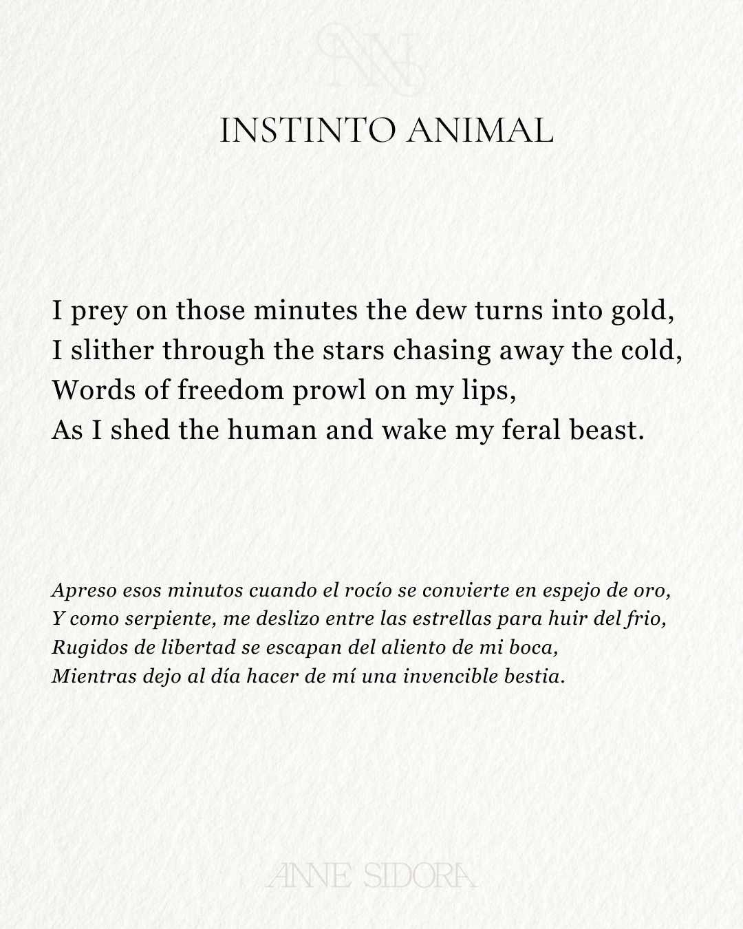 Jaguar Hand - Painted Folding Fan - Anne Sidora Unique Poetic gift boutique in Los Cabos