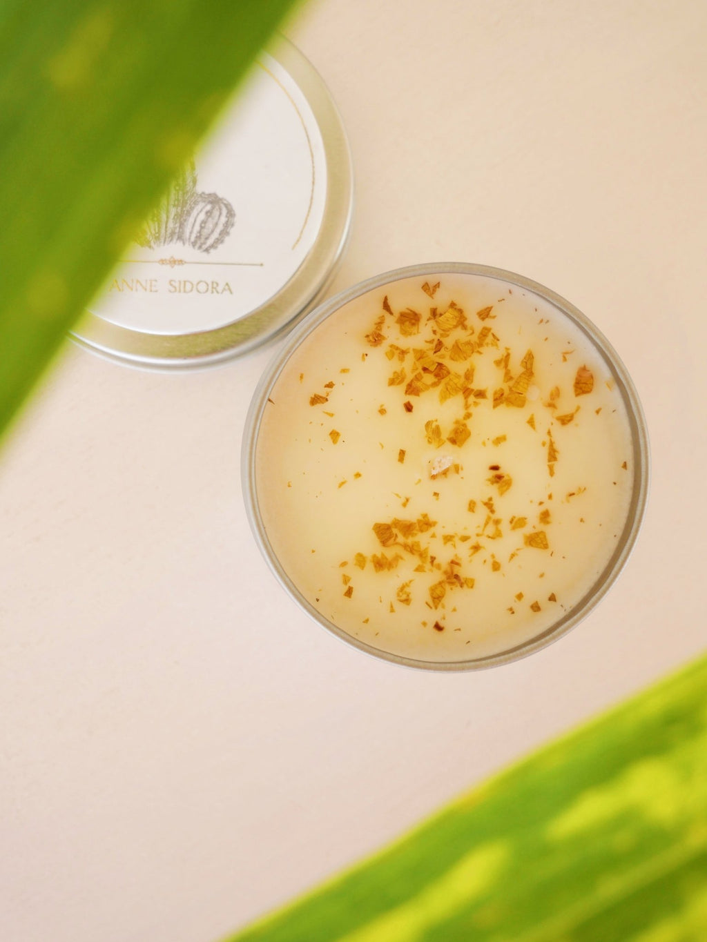 Jazmin, White Tea & Citrus Candle - Anne Sidora Unique Poetic gift boutique in Los Cabos