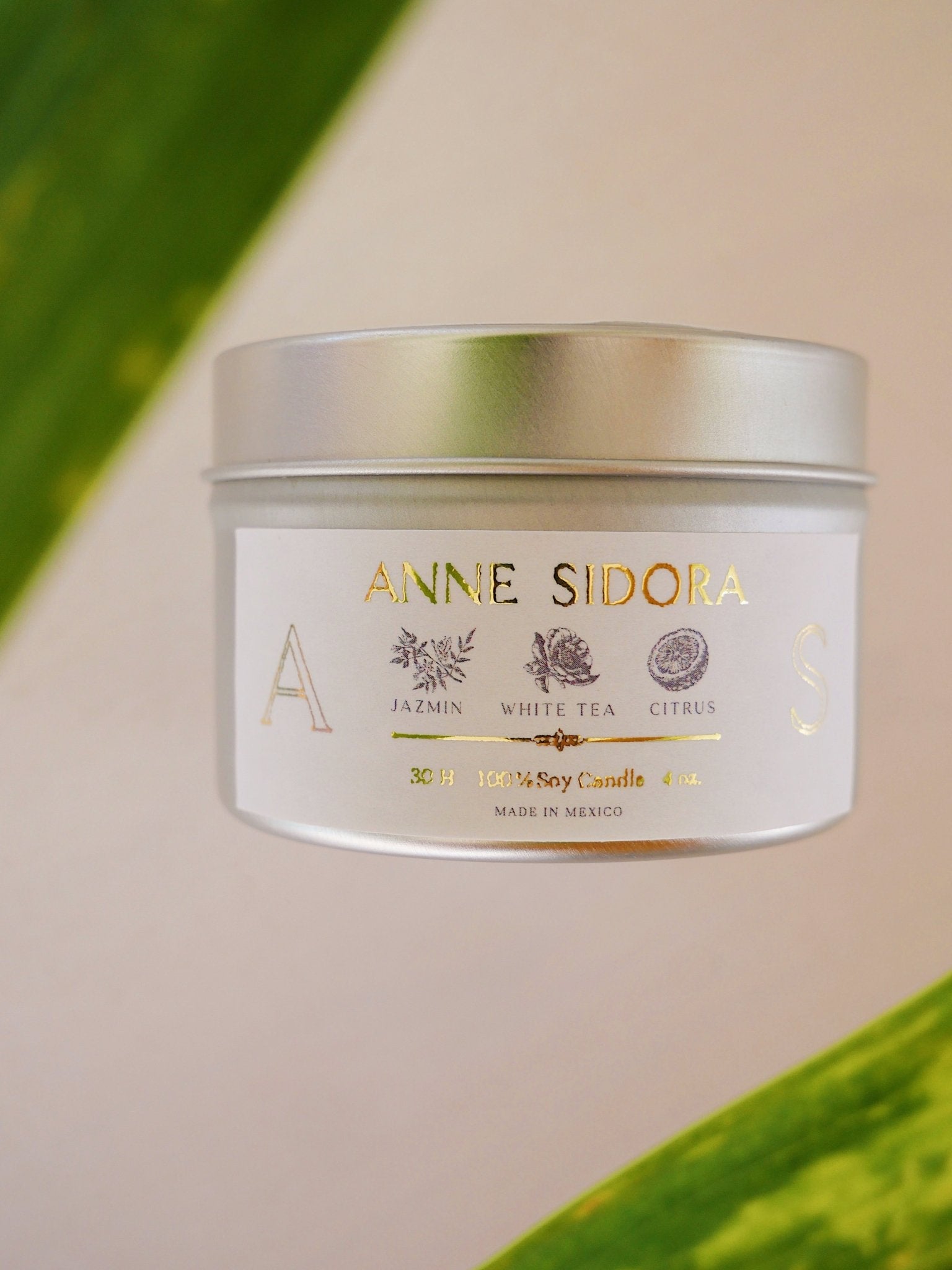 Jazmin, White Tea & Citrus Candle - Anne Sidora Unique Poetic gift boutique in Los Cabos
