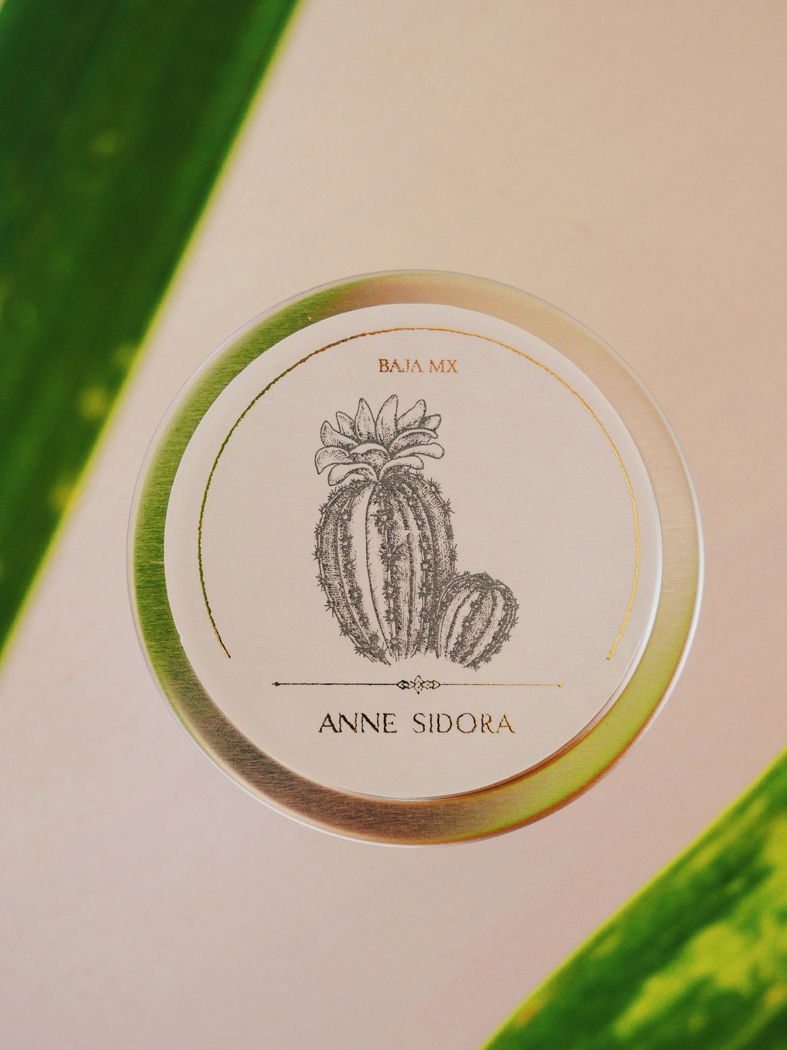 Jazmin, White Tea & Citrus Candle - Anne Sidora Unique Poetic gift boutique in Los Cabos