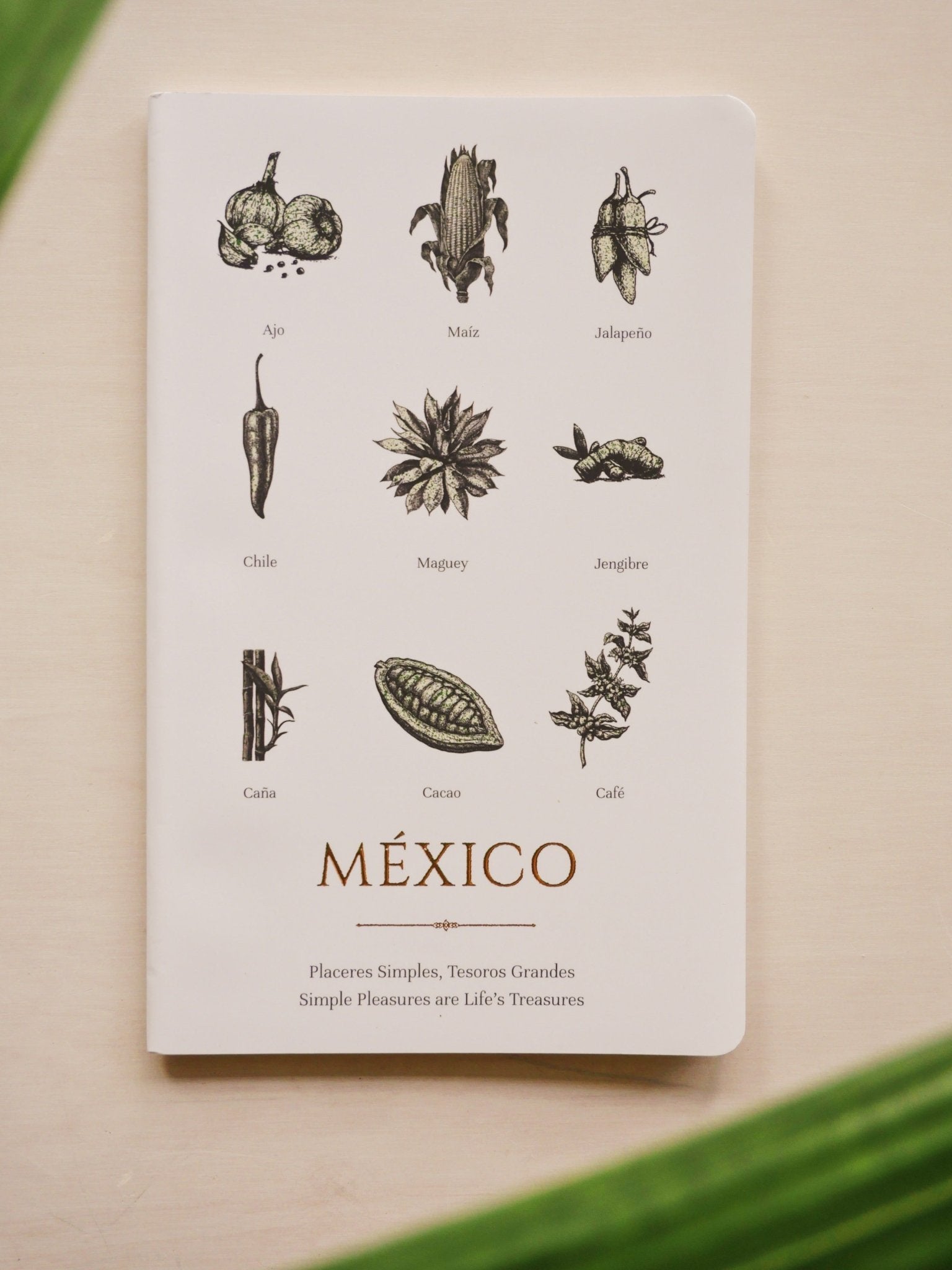 Mexico's Simple Pleasures Notebook - Anne Sidora Unique Poetic gift boutique in Los Cabos