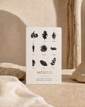Notebook Trio - Anne Sidora Unique Poetic gift boutique in Los Cabos