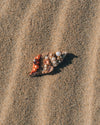 Sea Shell Brooch - Anne Sidora Unique Poetic gift boutique in Los Cabos
