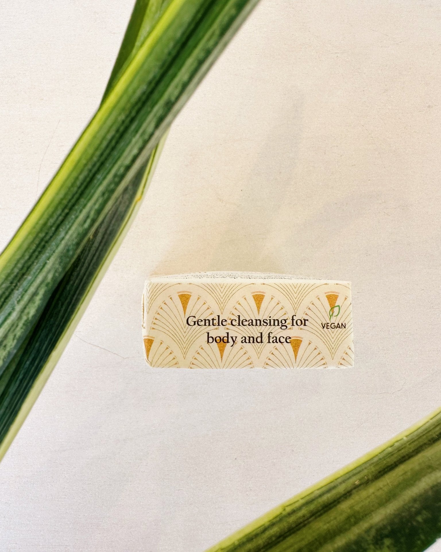 Shea Butter Soap - Anne Sidora Unique Poetic gift boutique in Los Cabos