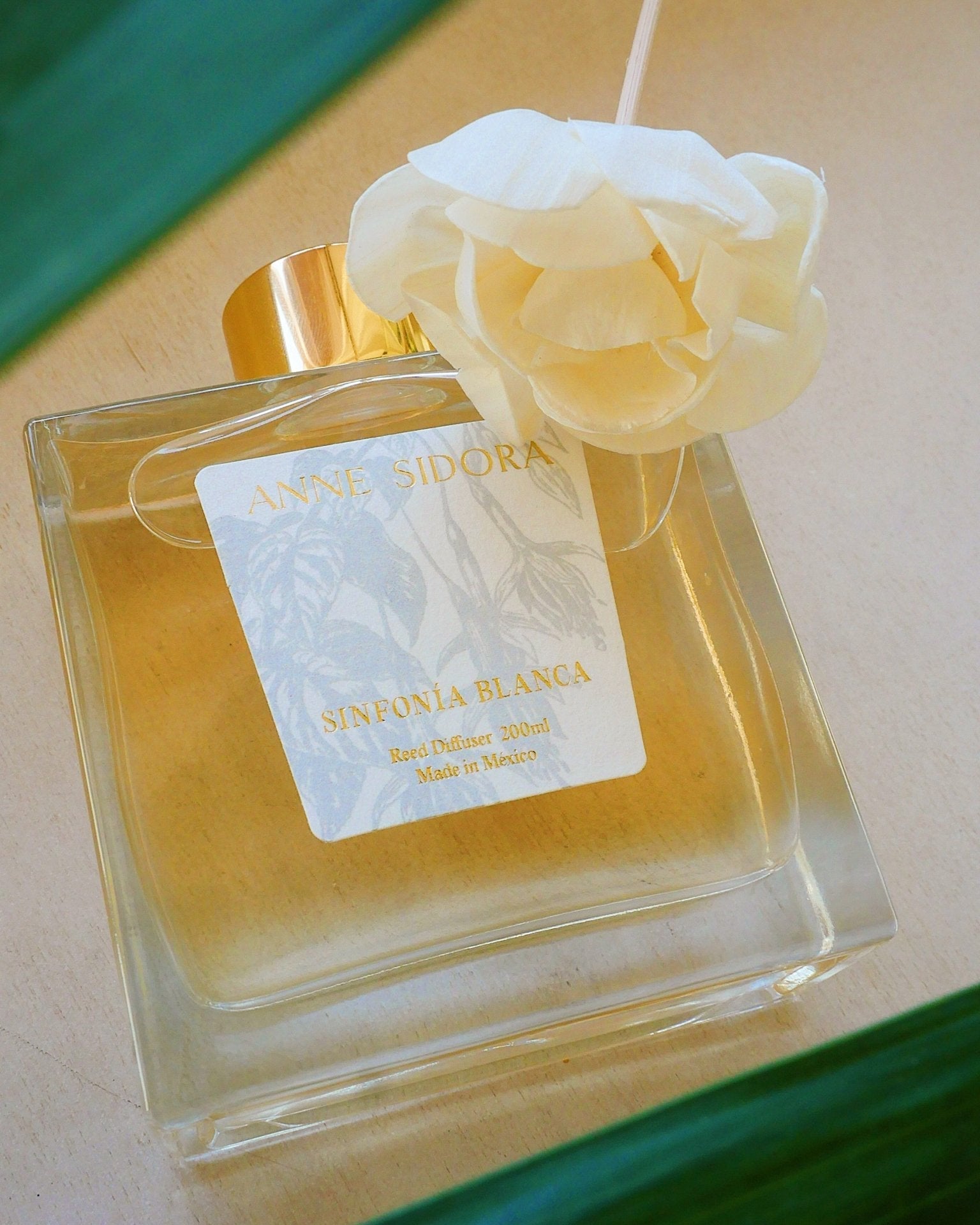 Sinfonía Blanca - Reed Diffusor - Anne Sidora Unique Poetic gift boutique in Los Cabos