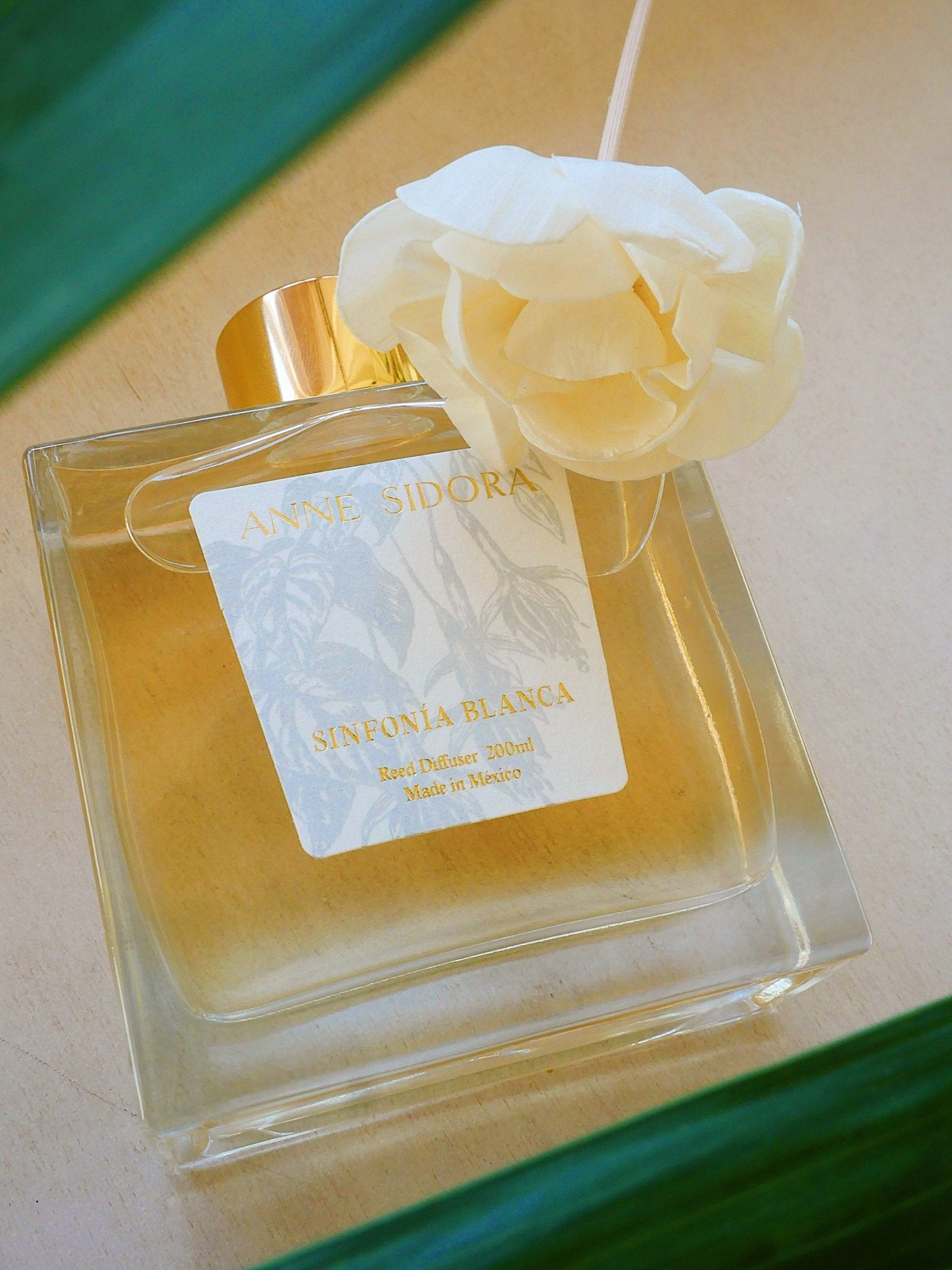 Sinfonía Blanca - Reed Diffusor - Anne Sidora Unique Poetic gift boutique in Los Cabos