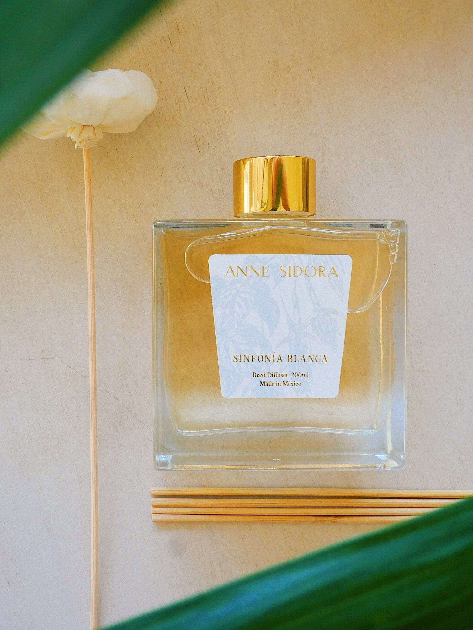 Sinfonía Blanca - Reed Diffusor - Anne Sidora Unique Poetic gift boutique in Los Cabos