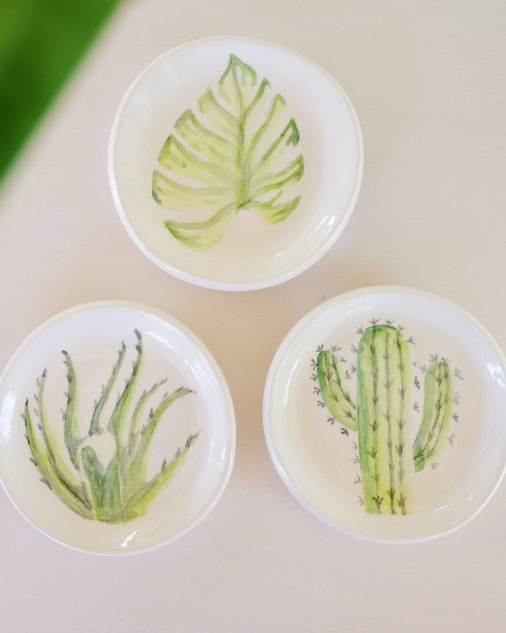 Cactus Accent Plate - Anne Sidora Unique Poetic gift boutique in Los Cabos