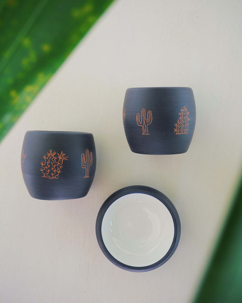 Desert Mezcal Ritual